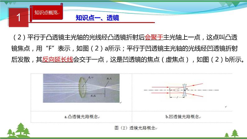 新人教版 八年级物理上册 第5章 透镜及其应用  单元同步讲析  课件03