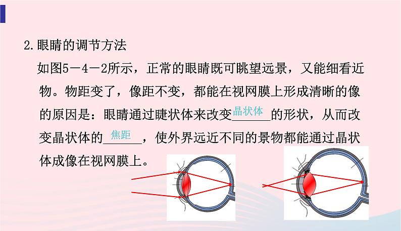 新人教版 八年级物理上册 第5章 透镜及其应用  5.4眼睛和眼镜 课件05