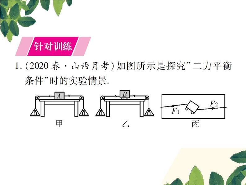 人教版八年级下册物理第八章实验突破二《探究二力平衡的条件》 课件02