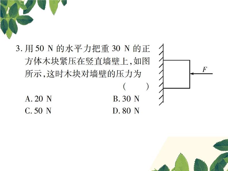 人教版八年级下册物理第九章第一节《压强》第一课时 课件04