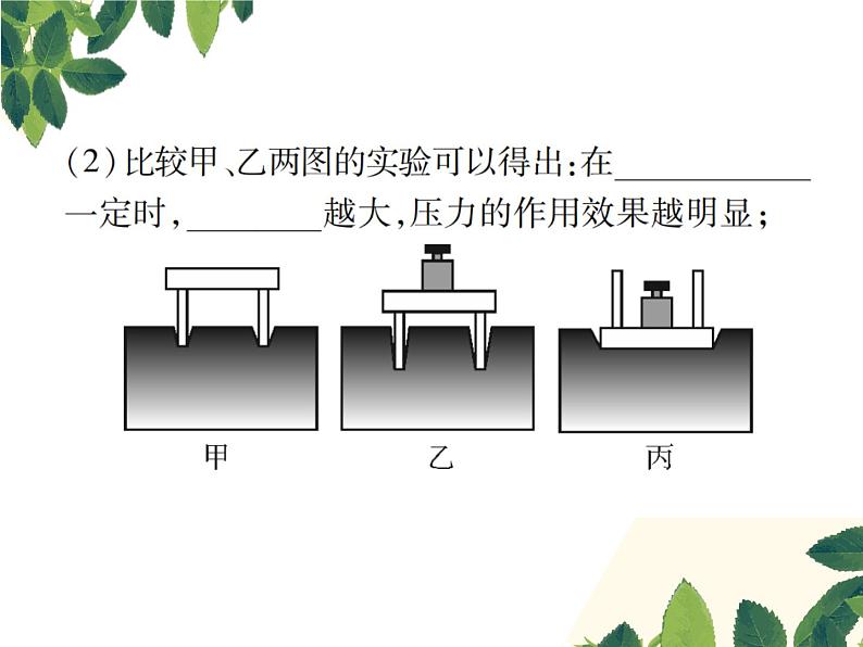 人教版八年级下册物理第九章第一节《压强》第一课时 课件06