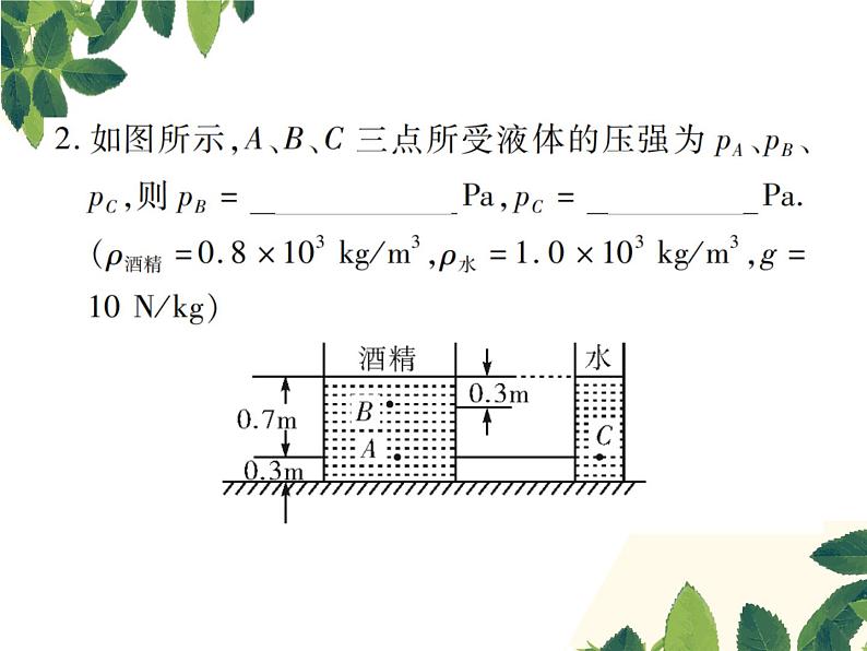 人教版八年级下册物理第九章第二节《液体的压强》第二课时 课件03