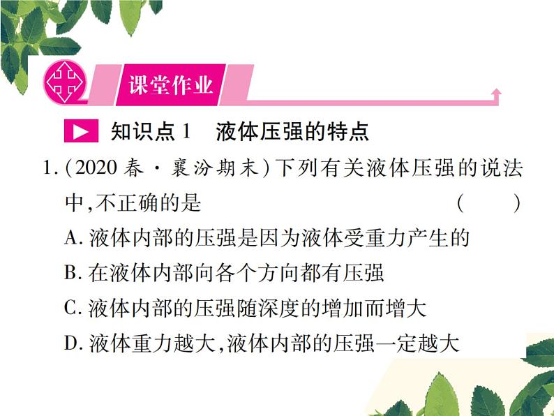 人教版八年级下册物理第九章第二节《液体的压强》第一课时 课件02