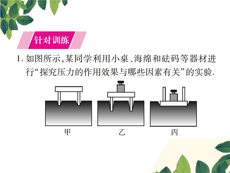 人教版八年级下册物理第九章 实验突破四《探究影响压力作用效果的因素》 课件02