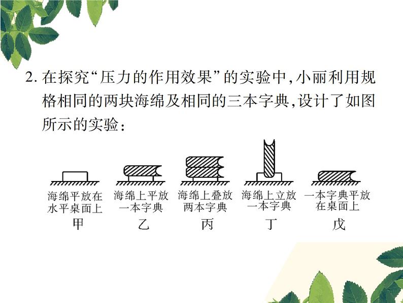 人教版八年级下册物理第九章 实验突破四《探究影响压力作用效果的因素》 课件05