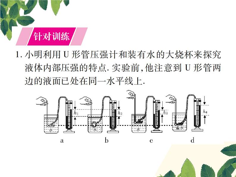 人教版八年级下册物理第九章 实验突破五《探究液体内部压强的特点》 课件02