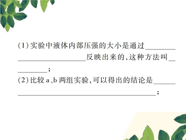 人教版八年级下册物理第九章 实验突破五《探究液体内部压强的特点》 课件03