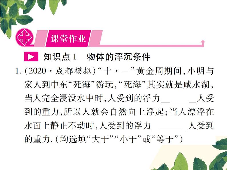 人教版八年级下册物理第十章第三节《物体的浮沉条件及应用》 课件02