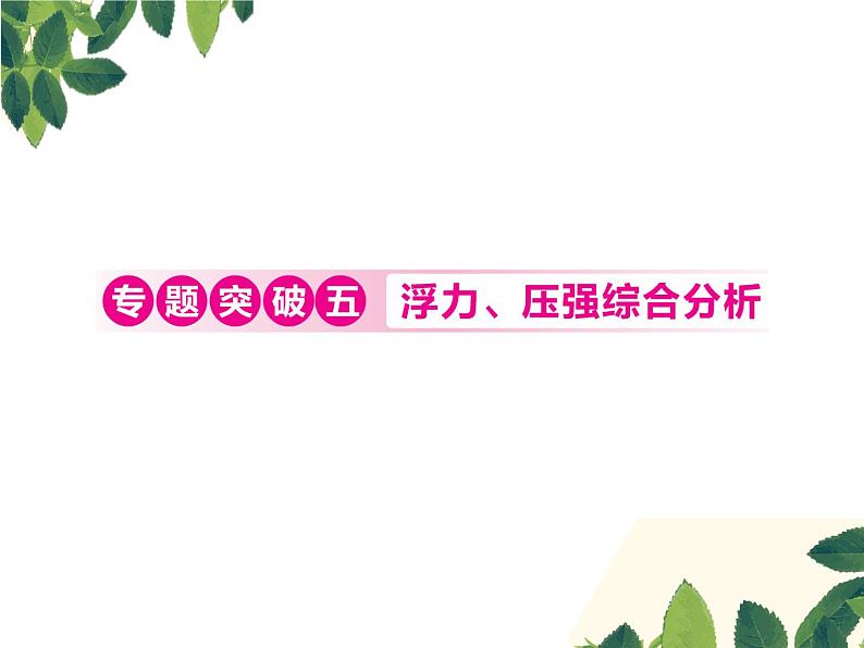 人教版八年级下册物理第十章 专题突破五《浮力、压强综合分析》01