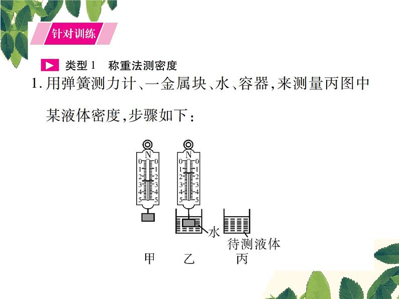 人教版八年级下册物理第十章 专题突破六《利用浮力测密度》02