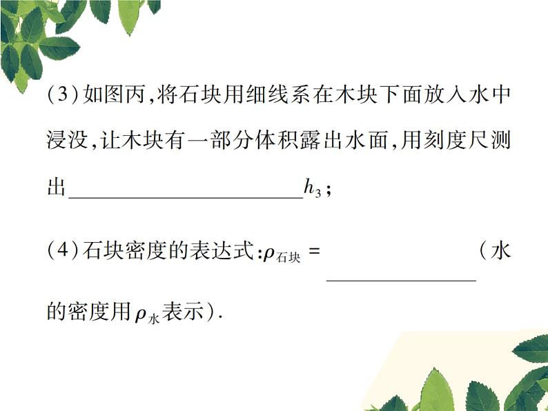 人教版八年级下册物理第十章 专题突破六《利用浮力测密度》07