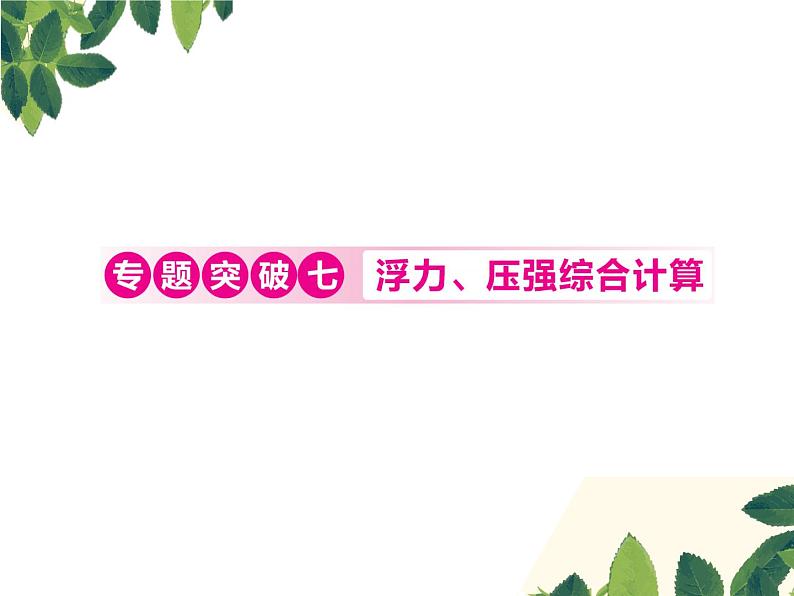 人教版八年级下册物理第十章专题突破七《浮力、压强综合计算》01