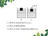 人教版八年级下册物理第十章专题突破七《浮力、压强综合计算》