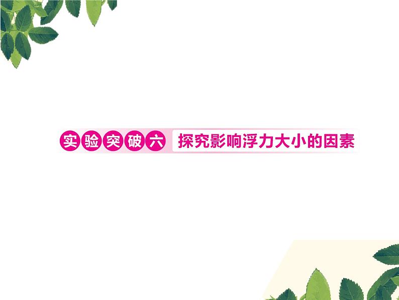 人教版八年级下册物理第十章 实验突破六《探究影响浮力大小的因素》 课件01