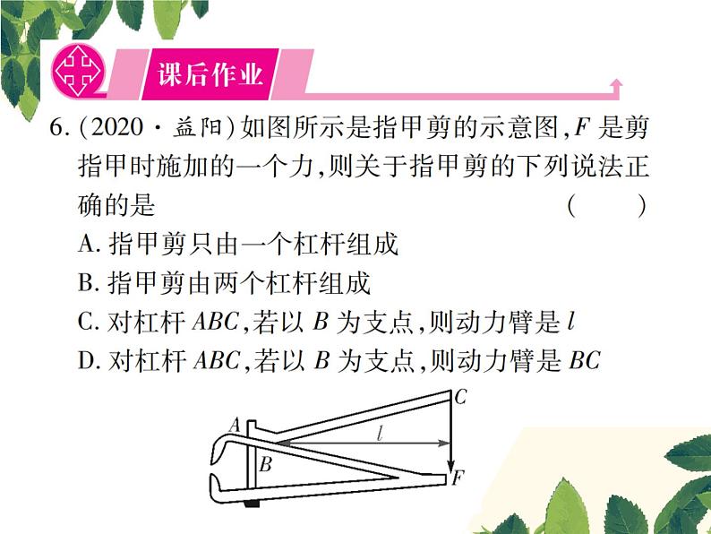 人教版八年级下册物理第十二章第一节《杠杆》第二课时 课件07