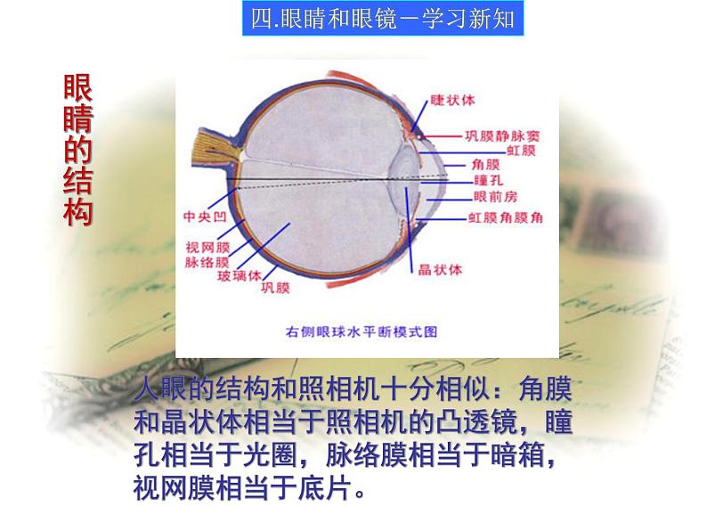 人教版物理八年级上5.4眼睛和眼镜 课件第6页