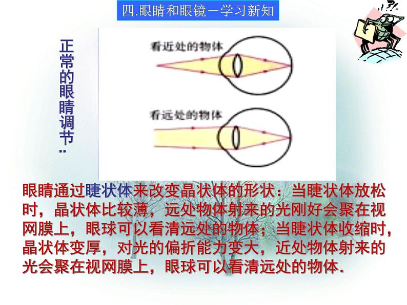 人教版物理八年级上5.4眼睛和眼镜 课件第8页