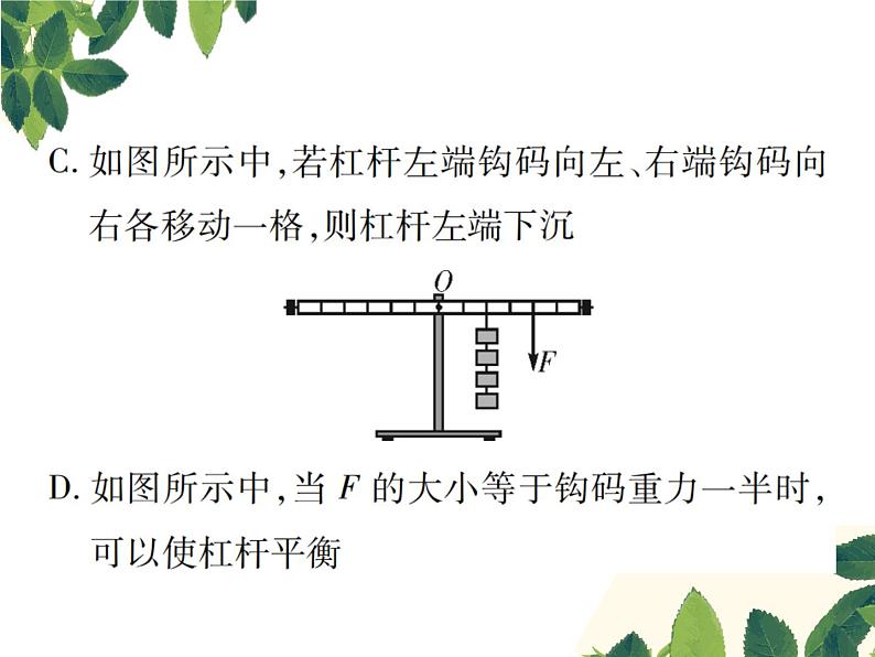 第十二章实验突破九探究杠杆平衡的条件 课件04