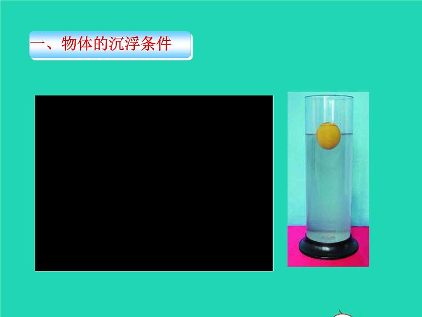 人教版八年级物理下册课件：10.3 物体的浮沉条件及应用课件第5页