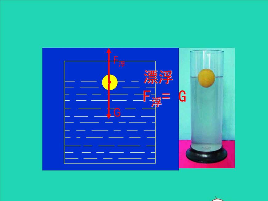 人教版八年级物理下册课件：10.3 物体的浮沉条件及应用课件第6页