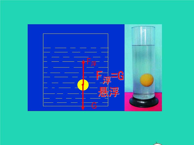 【新人教版】2020_2021学年八年级物理下册10.3物体的浮沉条件（课件+素材）08