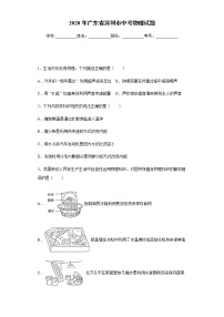 广东省深圳市2020年中考物理试题