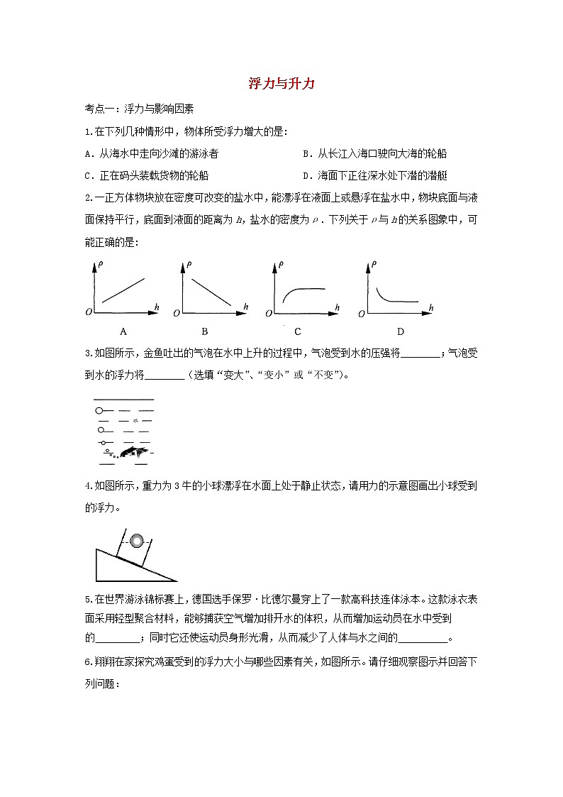 2021中考物理复习专项练习浮力与升力含解析20210324123901