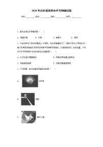 山东省潍坊市2020年中考物理试题-