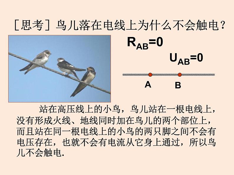 教科版 初中 物理 九年级（下册）9.3安全用电与保护课件第8页