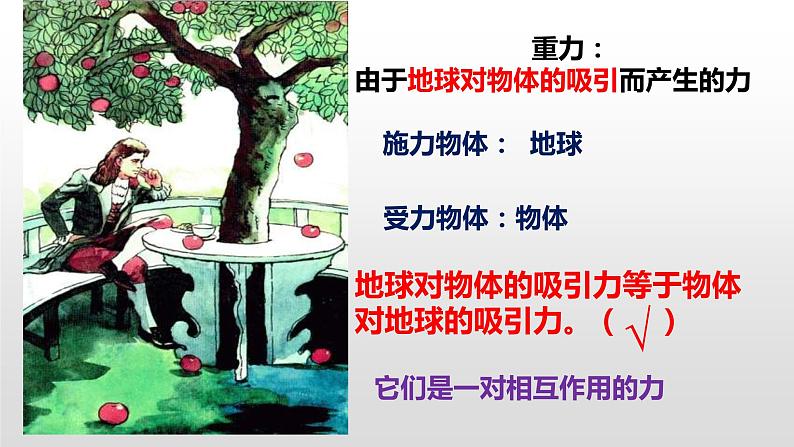 1.弹力与重力 复习课件PPT第3页