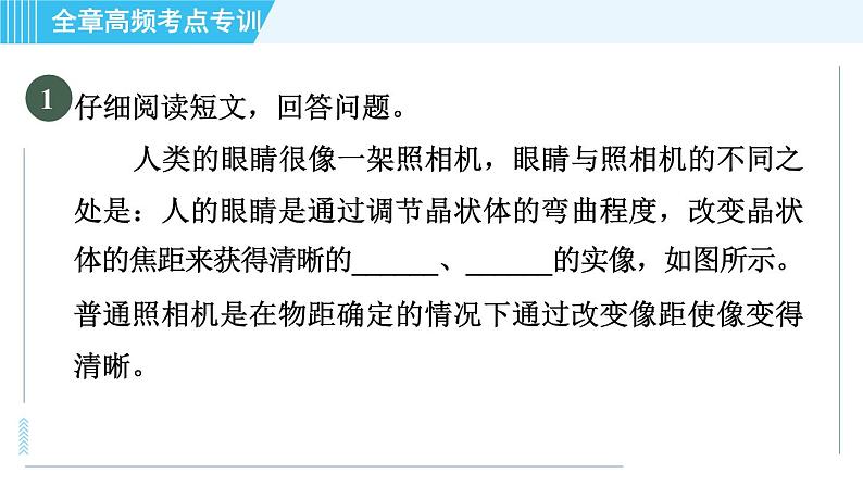 沪科版八年级上册物理课件 第4章 全章高频考点专训 专训2 眼睛和眼镜的探究03