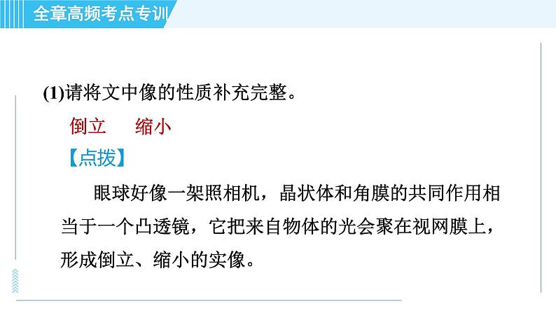 沪科版八年级上册物理课件 第4章 全章高频考点专训 专训2 眼睛和眼镜的探究05