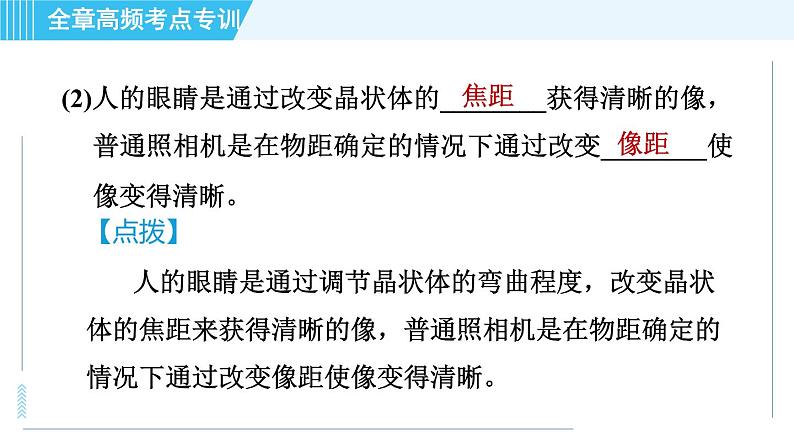 沪科版八年级上册物理课件 第4章 全章高频考点专训 专训2 眼睛和眼镜的探究06