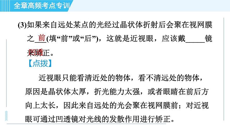 沪科版八年级上册物理课件 第4章 全章高频考点专训 专训2 眼睛和眼镜的探究07