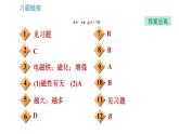 北師版九年級上冊物理課件 第14章 14.4.1  電磁鐵