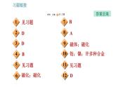 北師版九年級(jí)上冊(cè)物理課件 第14章 14.1  簡(jiǎn)單磁現(xiàn)象