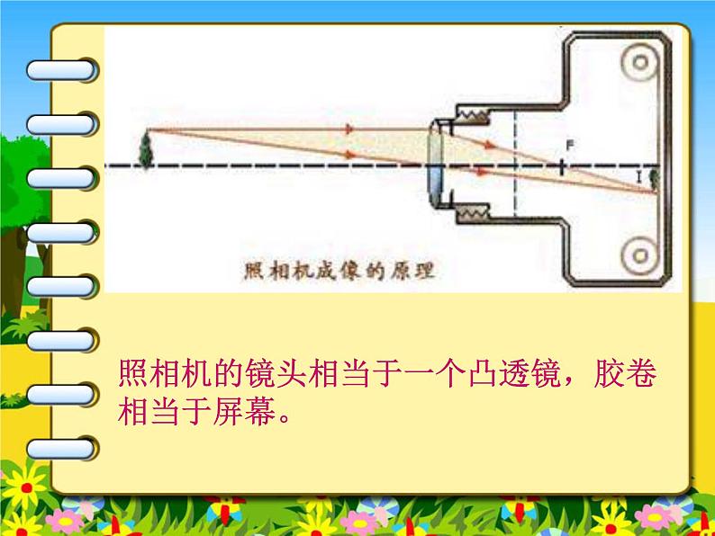 北师大版 八下  6.3  生活中的透镜（共17张PPT）05