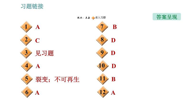 教科版九年级下册物理课件 第11章 全章热门考点整合专训02