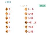 教科版九年級(jí)上冊(cè)物理課件 期末提分練案 第6講 第1課時(shí)  達(dá)標(biāo)訓(xùn)練課件