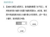 教科版九年级上册物理课件 第7章 阶段作图专训   电磁作图