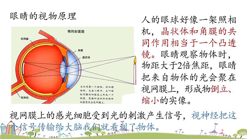 人教版物理八年级上册 第五章第4节 《眼睛和眼镜》PPT课件+素材05