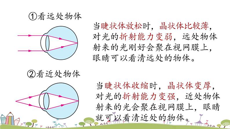 人教版物理八年级上册 第五章第4节 《眼睛和眼镜》PPT课件+素材08