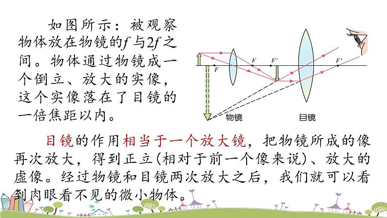 人教版物理八年级上册 第五章第5节 《显微镜和望远镜》PPT课件+素材08