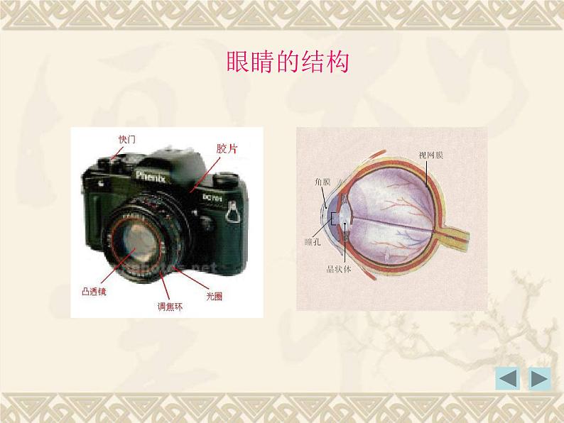 粤沪版 > 八年级上册  第三章 光和眼睛 > 7 眼睛与光学仪器课件ppt03