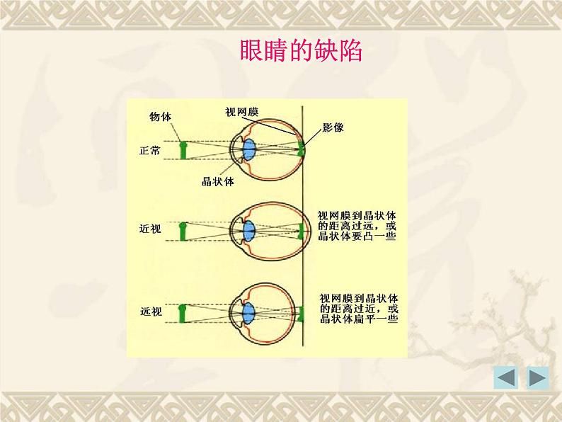 粤沪版 > 八年级上册  第三章 光和眼睛 > 7 眼睛与光学仪器课件ppt05