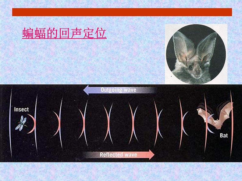 人教版物理八年级上2.3声的利用课件 课件第6页