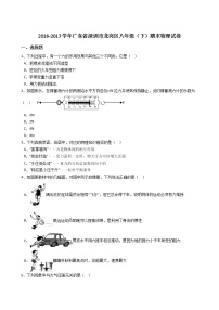 广东省深圳市龙岗区2016-2017学年八年级（下）期末物理试卷（解析版）