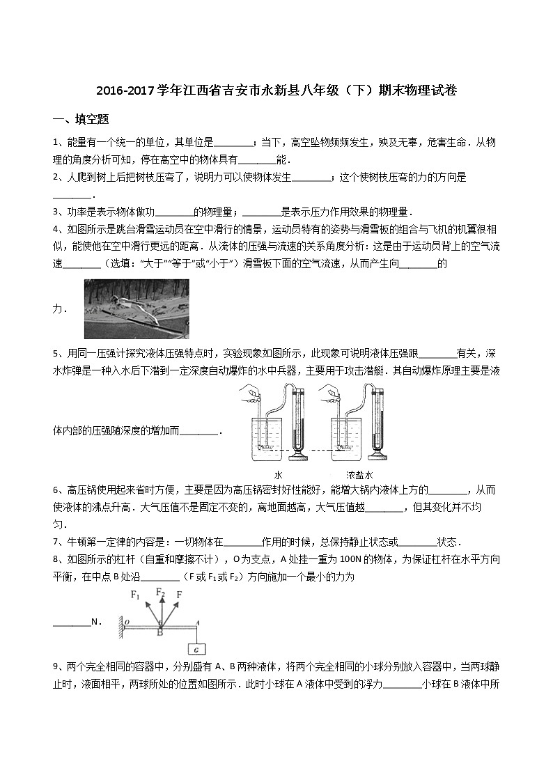 江西省吉安市永新县2016-2017学年八年级（下）期末物理试卷（解析版）01