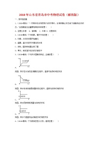 山东青岛市2018年中考物理试题（word版含解析）