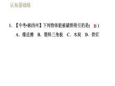 人教版九年级全一册物理习题课件 第20章 20.1.1磁现象